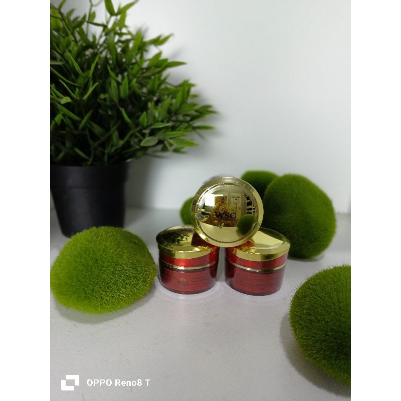 BUNDLING 3PCS ECER PAKET BIG WSC ORGANIC PREMIUM SKINCARE