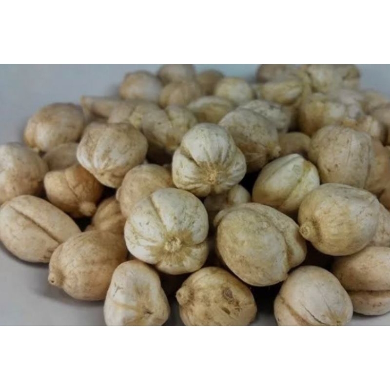 

Kapolaga kapol kering, 500gr dan 1kg