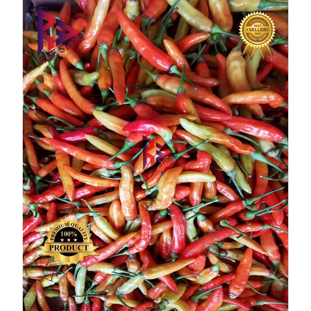 

CABAI / CABE RAWIT MERAH / CABE SETAN MURAH 1 KG BERKUALITAS