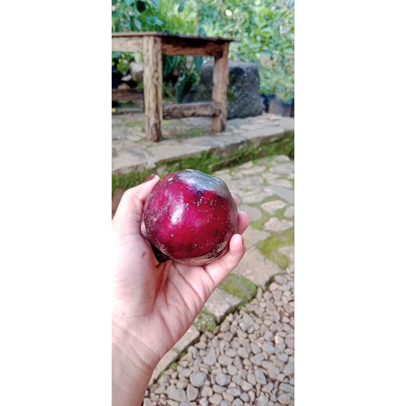 

delimawulung