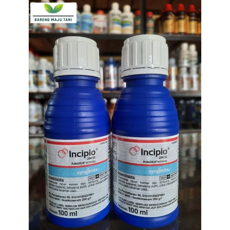 Insektisida Incipio 200 SC isi 100ml mengendalikan ulat penggerek batang