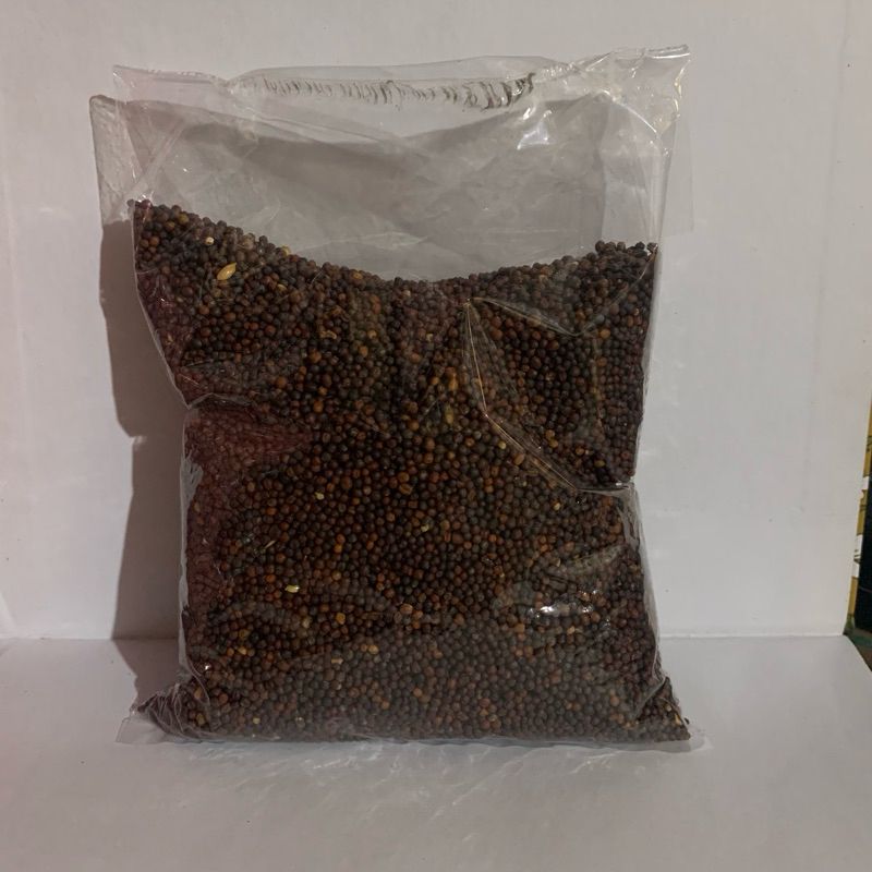 Biji Sawi Pakan Burung