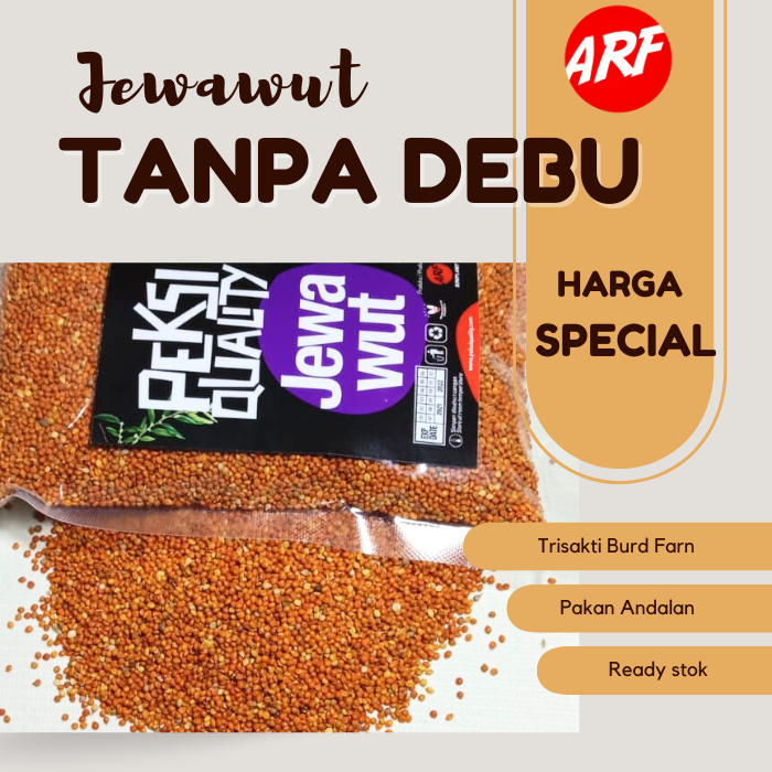 PAKAN BURUNG JEWAWUT 500 GRM BIJI KUNYIT UNTUK BURUNG PERKUTUT RED SISKIN KENARI LOVEBIRD dll