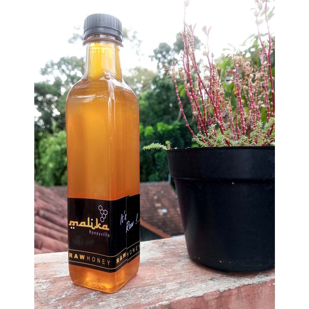 

Madu murni Malika - Randu