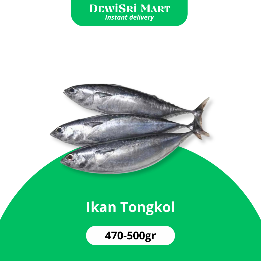 

Ikan Tongkol Fresh Frozen 470-500gr - Dewi Sri Mart