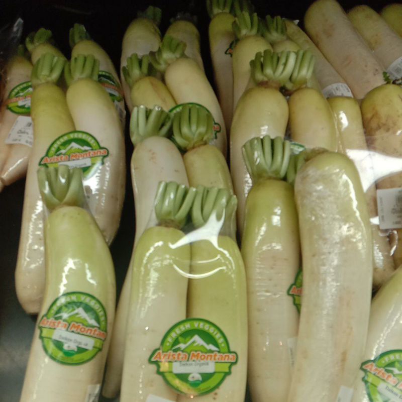 

RH LOBAK/DAIKON