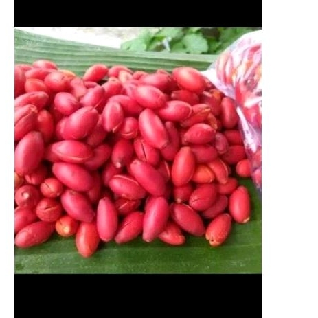 

KULIT TANGKIL MELINJO FRESH DARI BANTEN 500 GRM