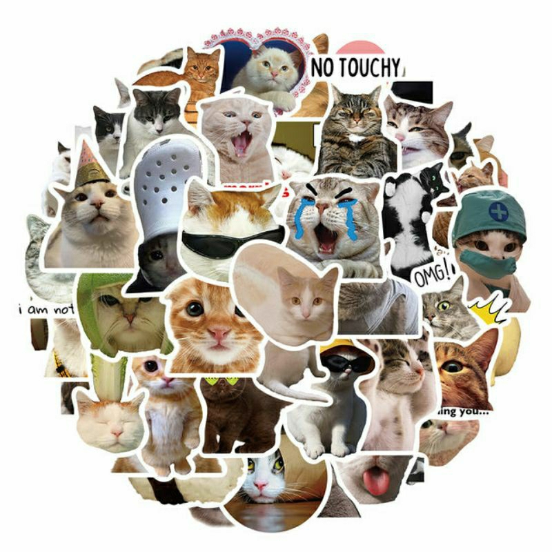 

Stiker Kucing Lucu Stiker Pac Kucing Style 260481- Stiker High Quality, Stiker Aesthetic Stiker Laptop Stiker Helm Stiker Tumblr Stiker HP, Aksesoris Hp , Anti Air