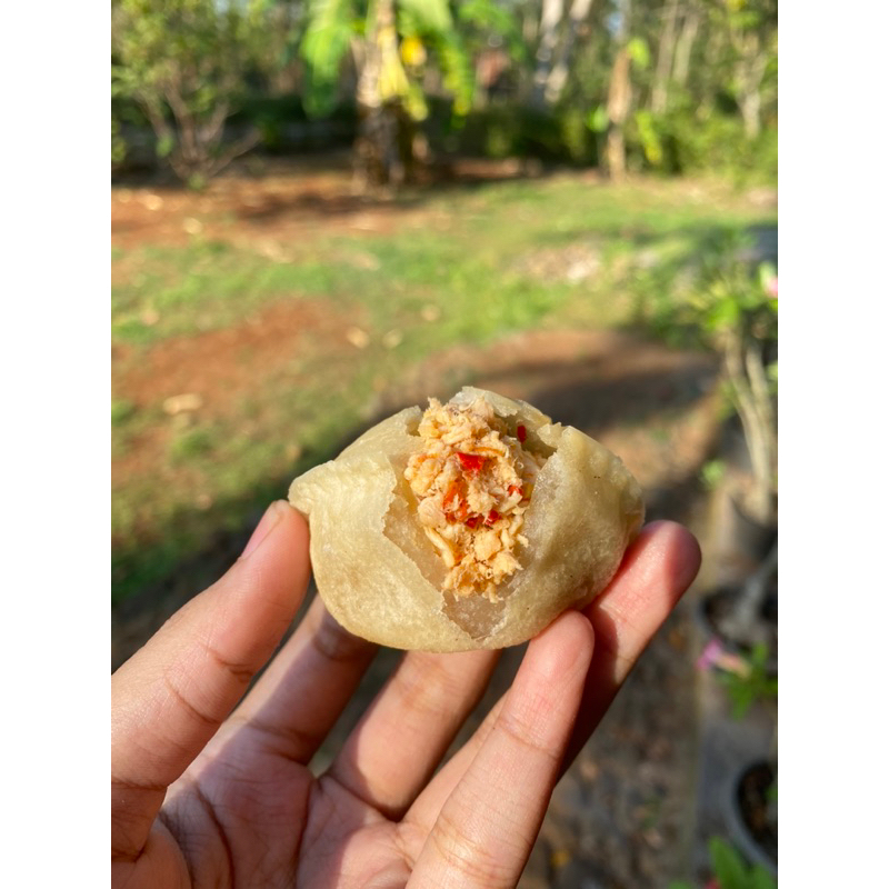 

ciyam ( cireng isi ayam suwir pedas)