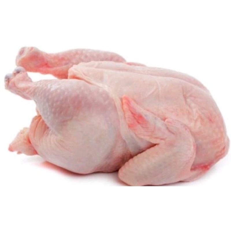 

Ayam broiler/sayur