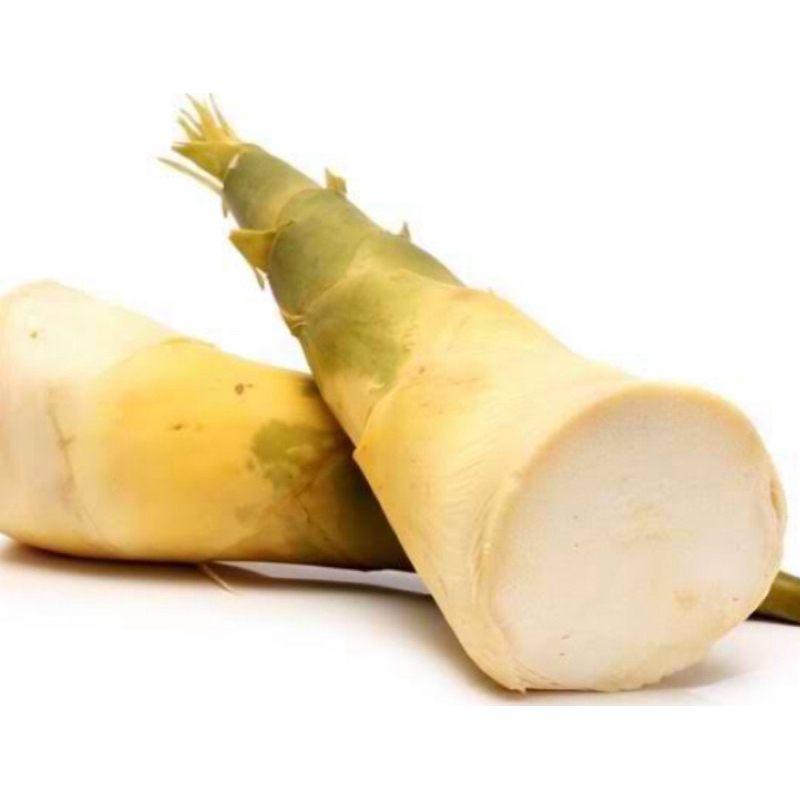 

Rebung bambu kuning segar 1 kg organik