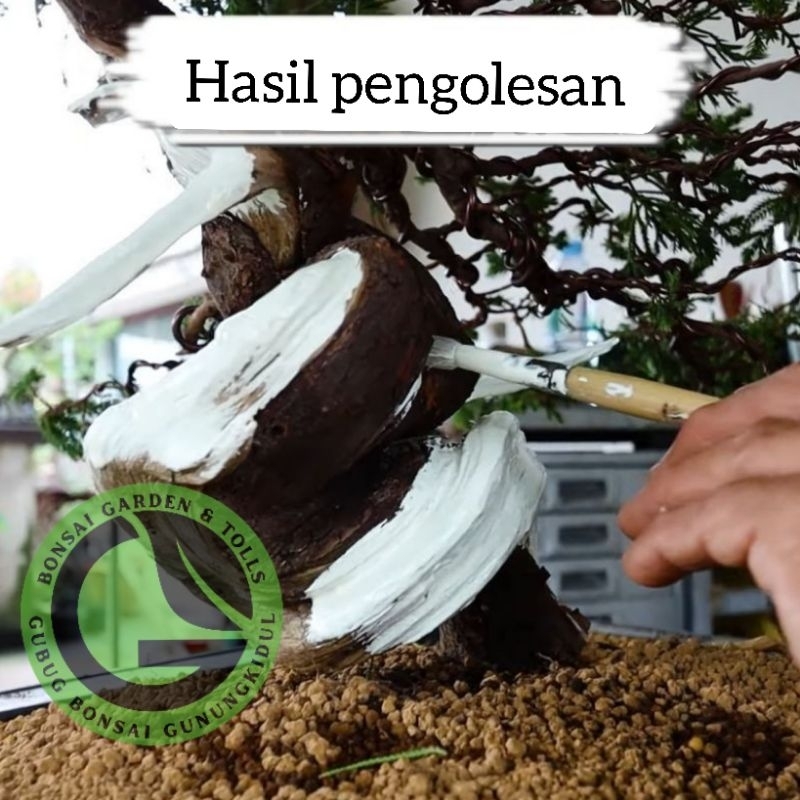 Shopritz Bonsai Lime Sulfur For Dried Branches Whitening Lime Sulfur Bonsai Japan Quality
