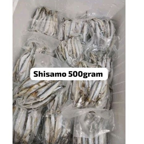 

ikan shisamo 500gr