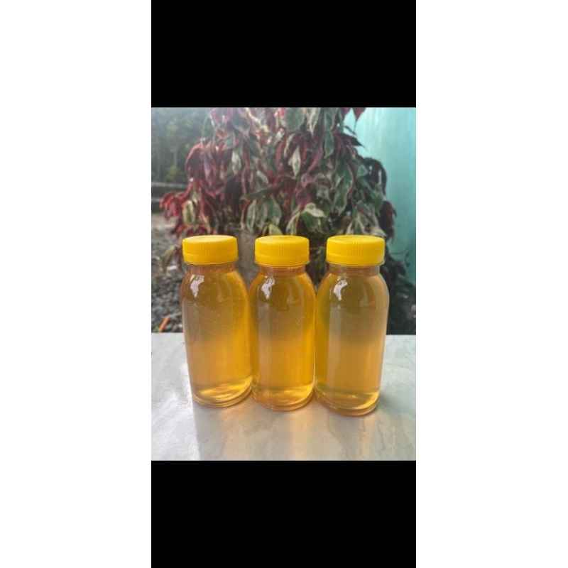 

madu murni lebah hutan meratus 100ml