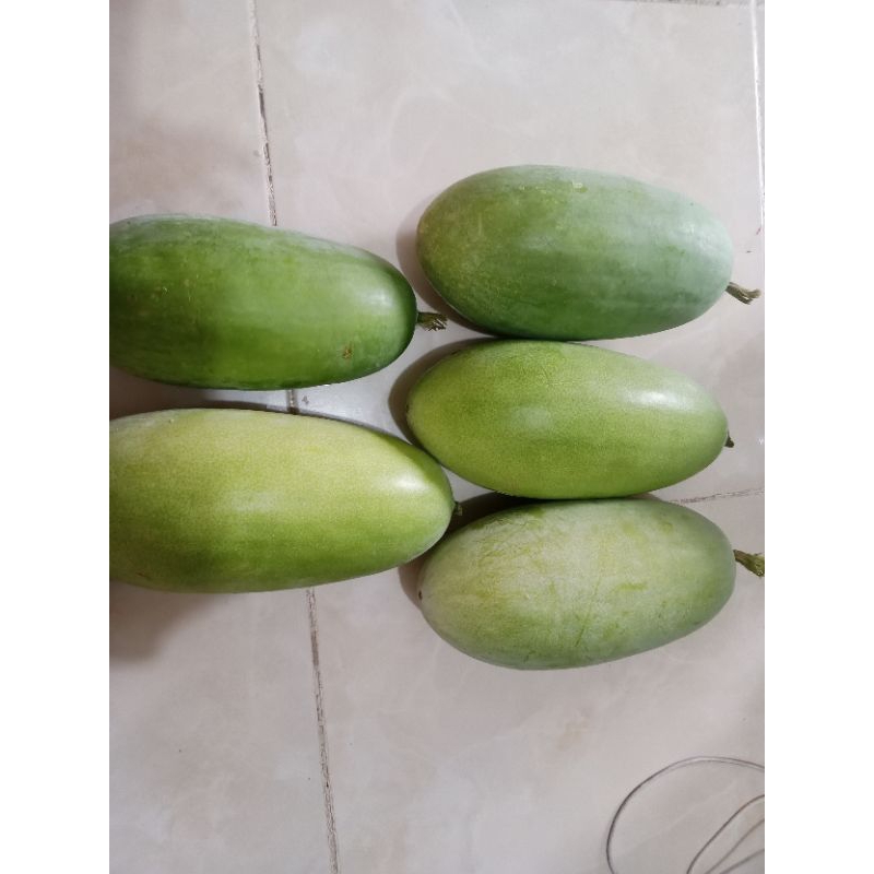 

Buah Kundur / Blingo Baru petik (fresh)
