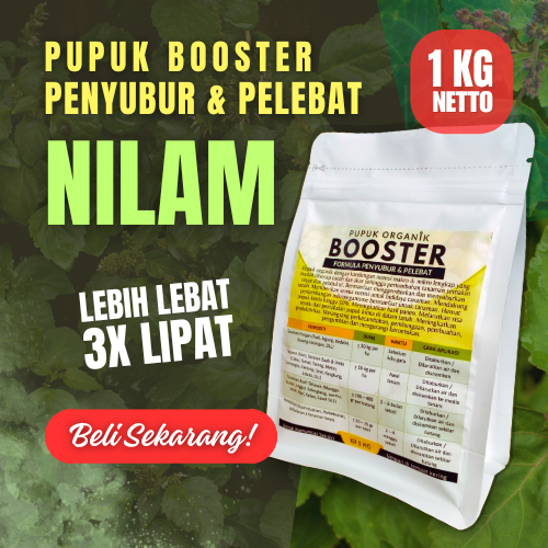 1Kg Pupuk Padat Booster Pelebat Daun Tanaman Nilam Penyubur Perangsang Tumbuh Daun Tanaman Nilam