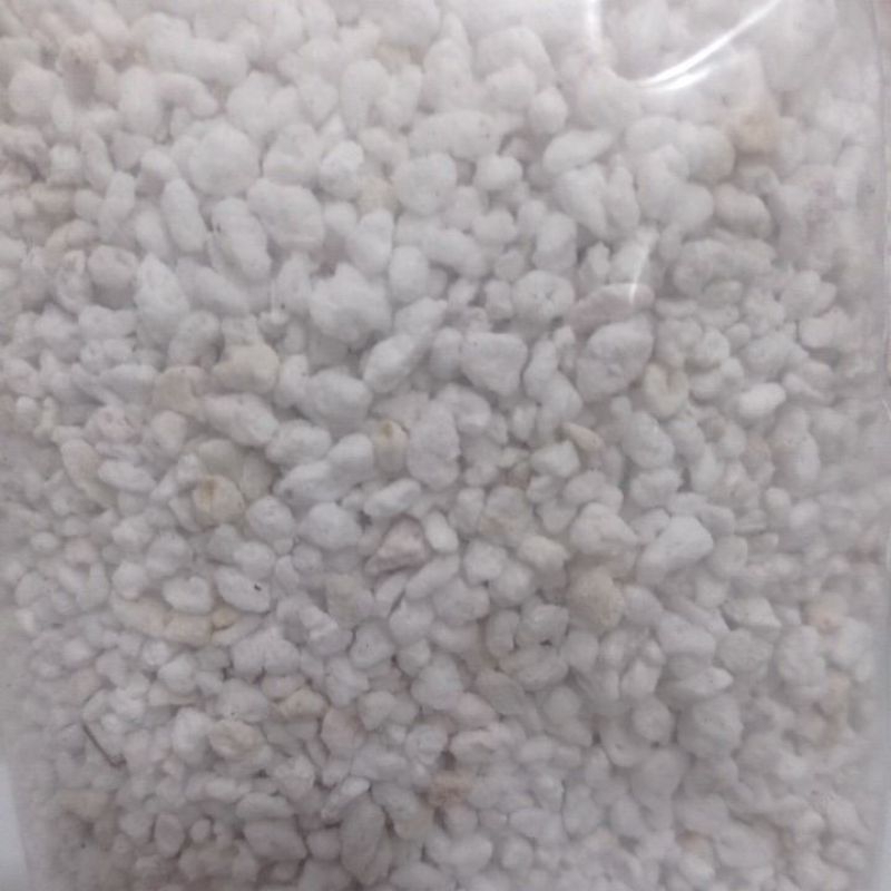 perlite media tanam untuk cactus dan hidroponik (1liter)