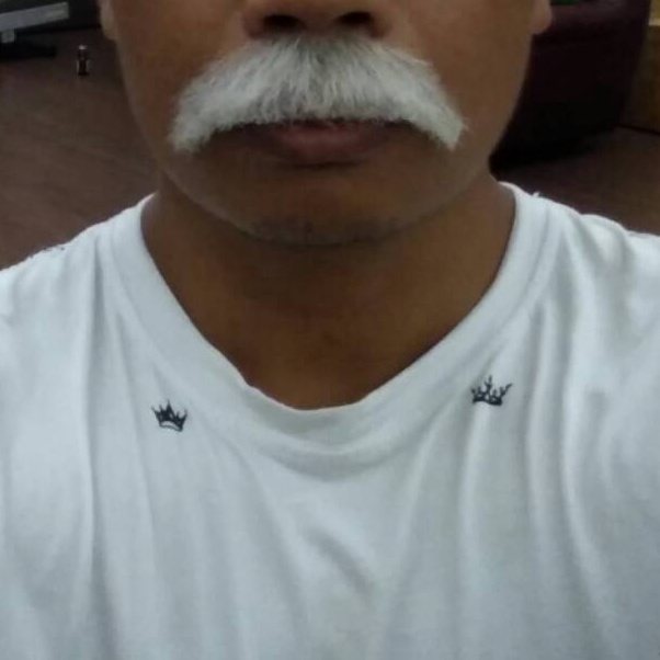 ART V26L Kumis uban hitam putih