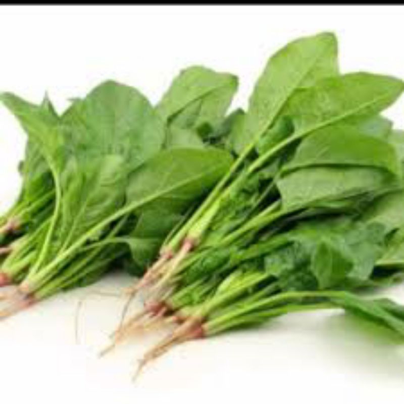 

sayur peleng 250g