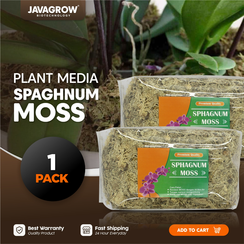 JAVAGROW - Media Tanam Moss Putih Sphagnum Moss Chilean