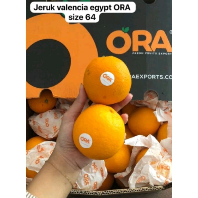 

buah jeruk Valencia egipt ORA size 64