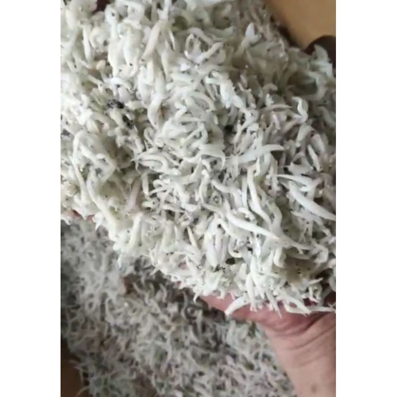 

Teri Nasi Super 250 gram