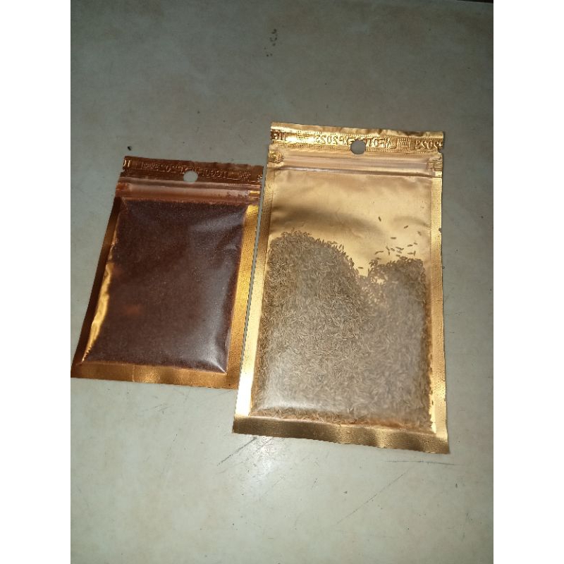 BIBIT TANAMAN KARPET AQUASCAPE Tanaman rumput hidup aquascape dasaran aquarium