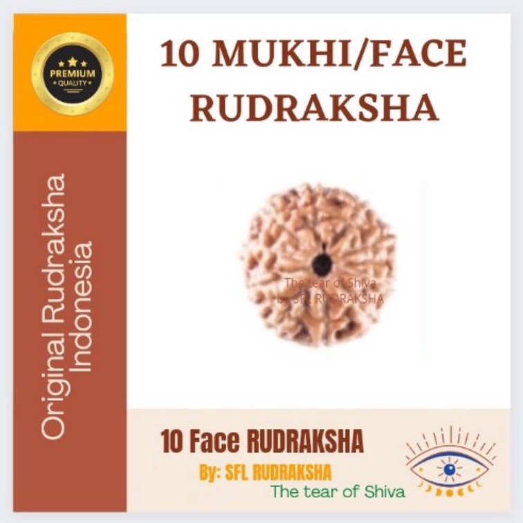 ART J9U 6 PCS 1 MUKHI RUDRAKSHA sudah ada lobang size 17mm up