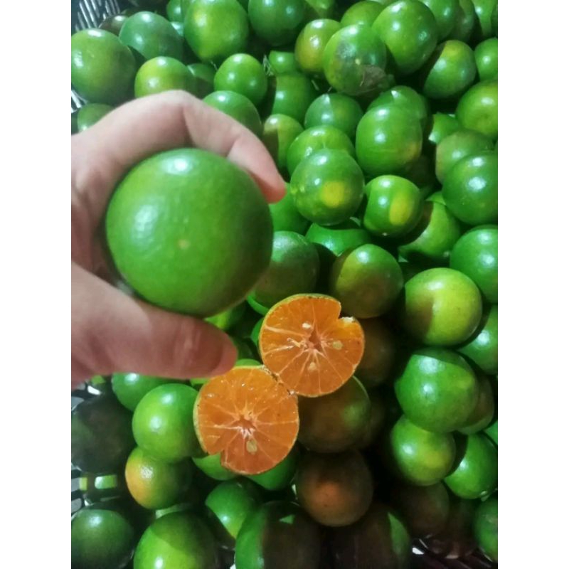 

JERUKPERAS