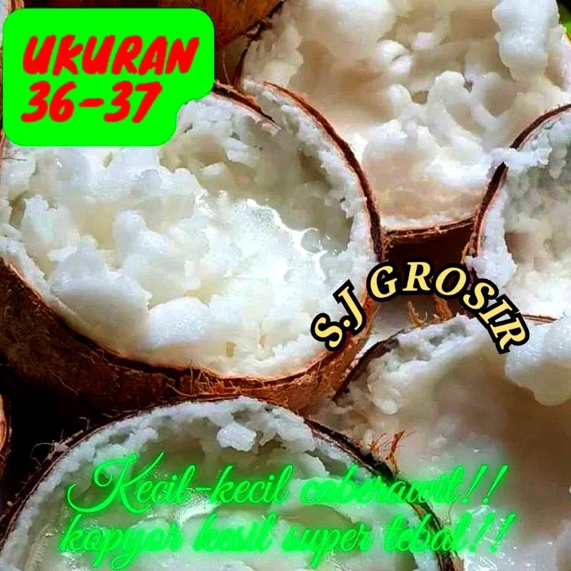 

(SPESIAL PRODUK) KELAPA KOPYOR uk.35-40 dukuhseti pati