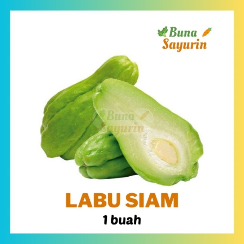

Labu Siam Hijau Besar 1 buah [BunaSayurin]