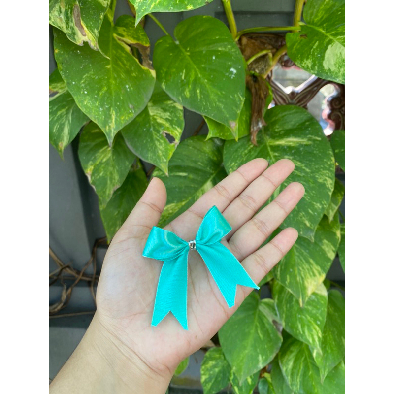 

Pita souvenir siap pakai warna tosca, harga murah/ lebar 2cm