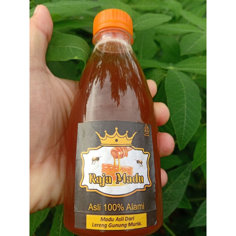 

Madu asli lereng gunung Muria, honey