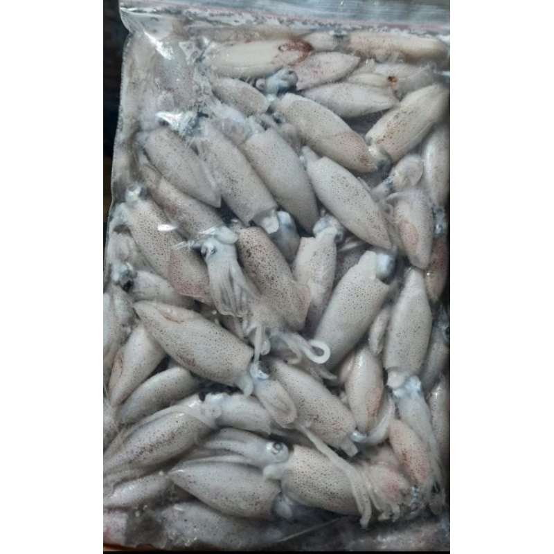 BABY CUMI CUMI SEGAR MUraH 1KG
