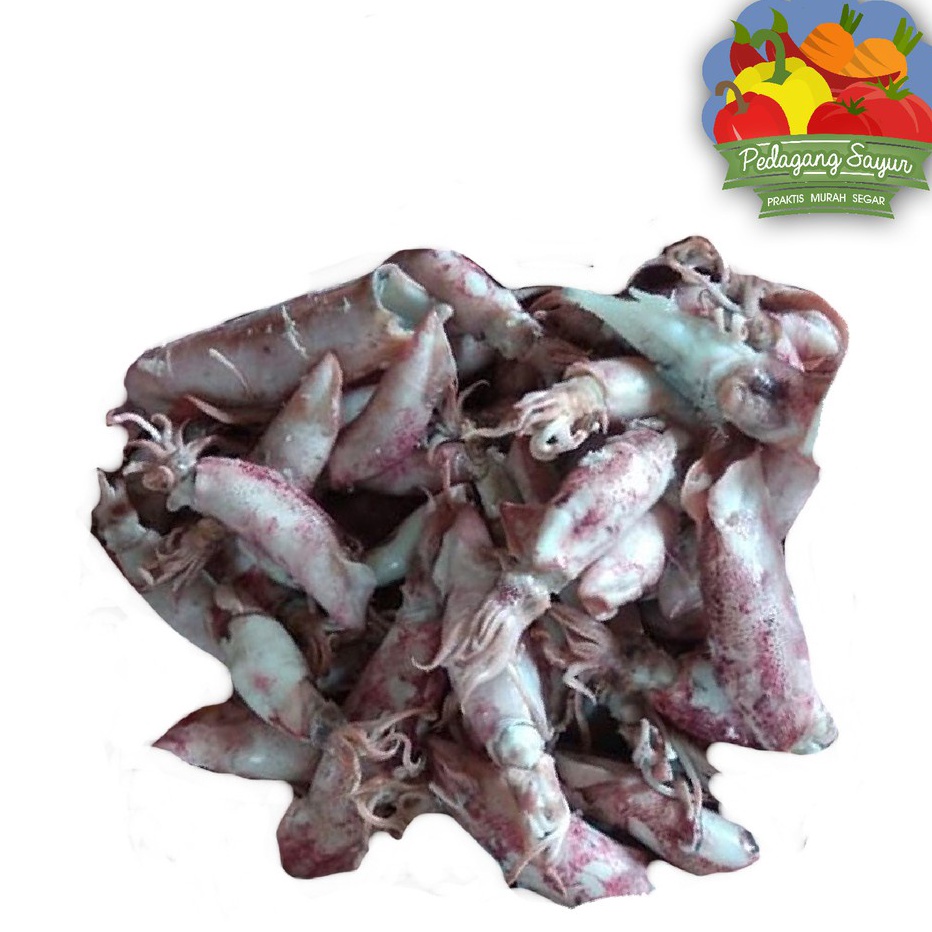 

READY STOK Ikan Asin Sotong Jarum Cumi Asin 1 Gram