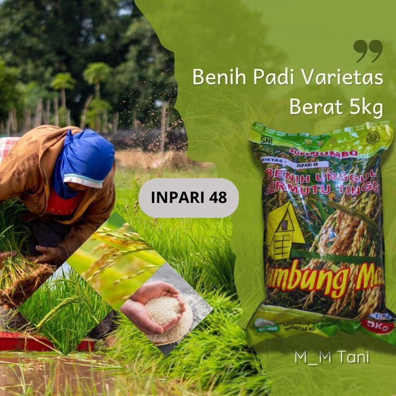 BIBIT BENIH PADI VARIETAS INPARI 48 BLAS 5 KG