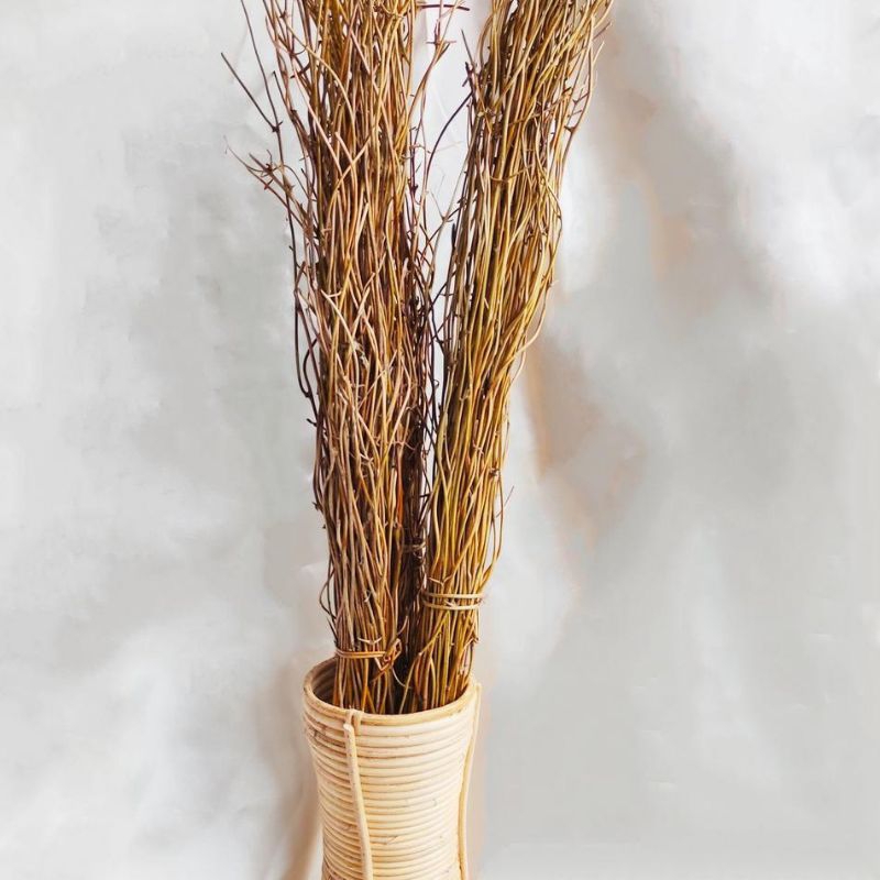 dekorasi akar manon dekorasi weding akar manon dekorasi