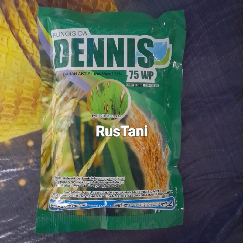 Fungisida sistemik DENNIS 75WP 100GR bahan aktif : Trisiklazol 75%