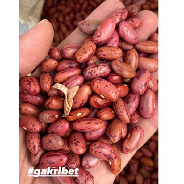 

Restock Kacang Merah Brenebon Kacang Es