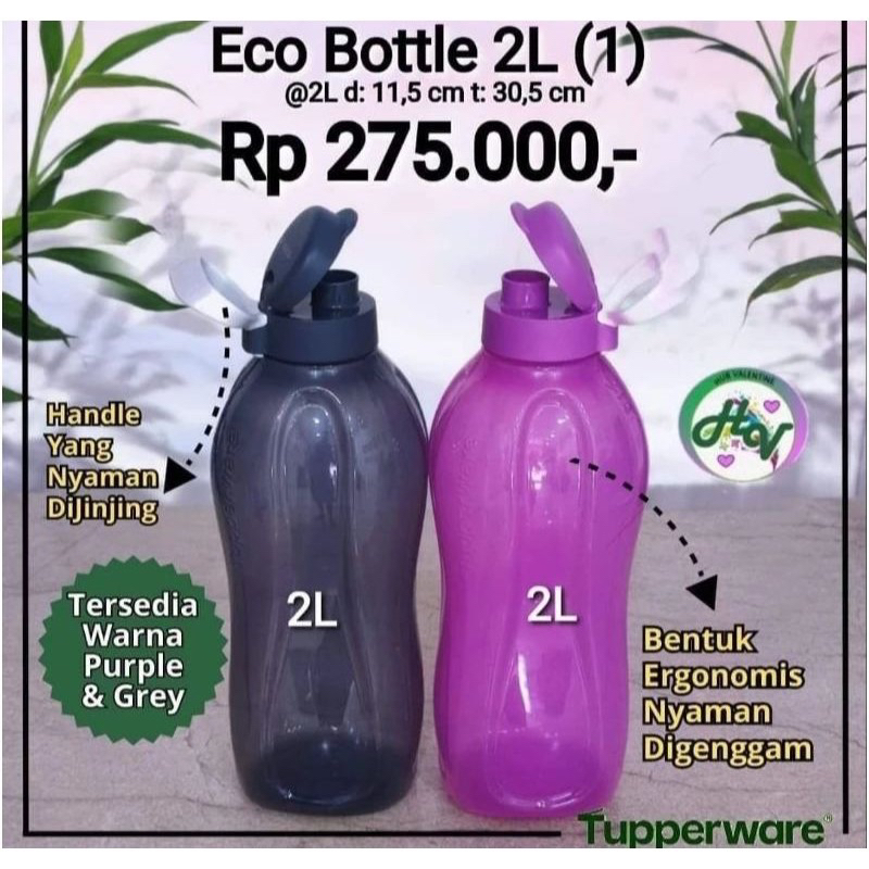 eco 2liter tupperware