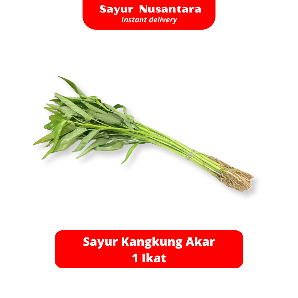 

Sayur Kangkung Akar 1 Ikat - Sayur Nusantara