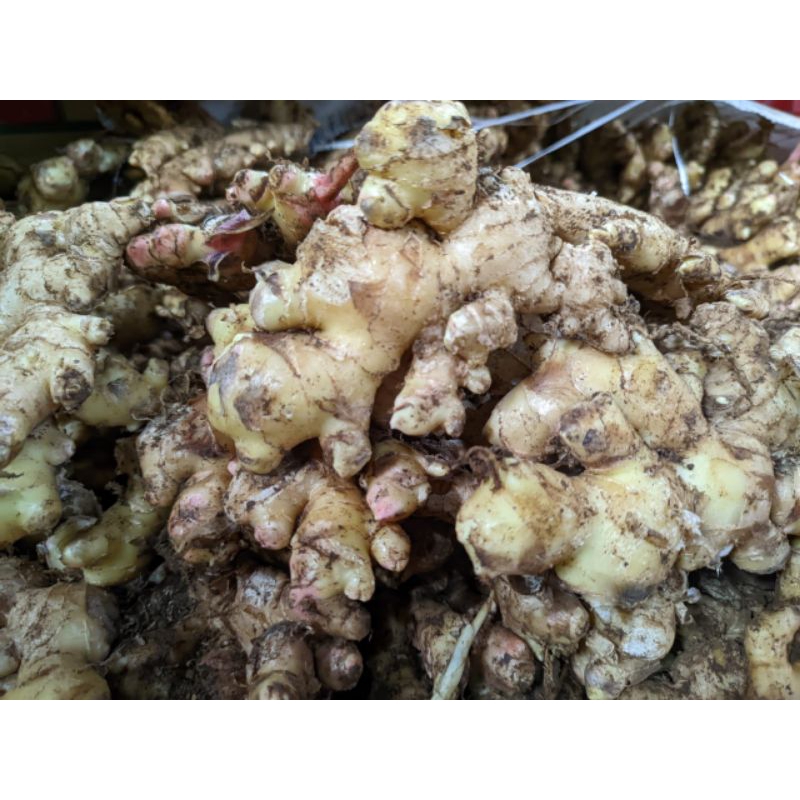 

Jahe 250 gram