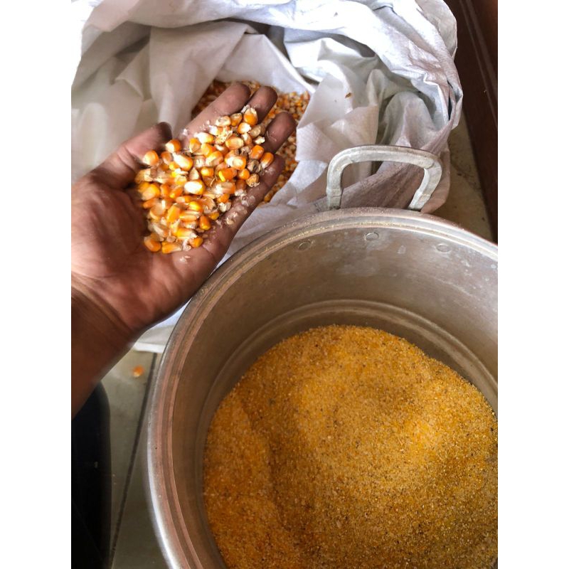 

JAGUNG UTUH PIPIL kemasan 1kg