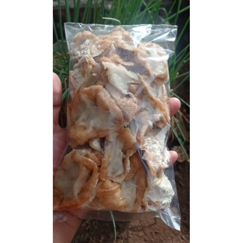 

FROZEN TAHU WALIK AYAM ISI 10 PC