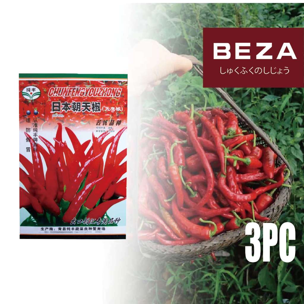 3 Packet/Set Benih Bibit Cabai Diimpor Dari Jepang,Cabai Rawit Red Cluster Pepper Seeds,Benih Bibit 