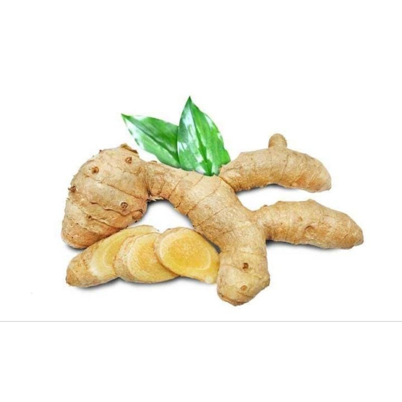 

kunyit putih segar 1kg