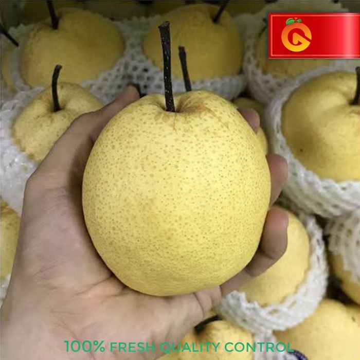 

PEAR SWEET MANIS FRESH 1 KG