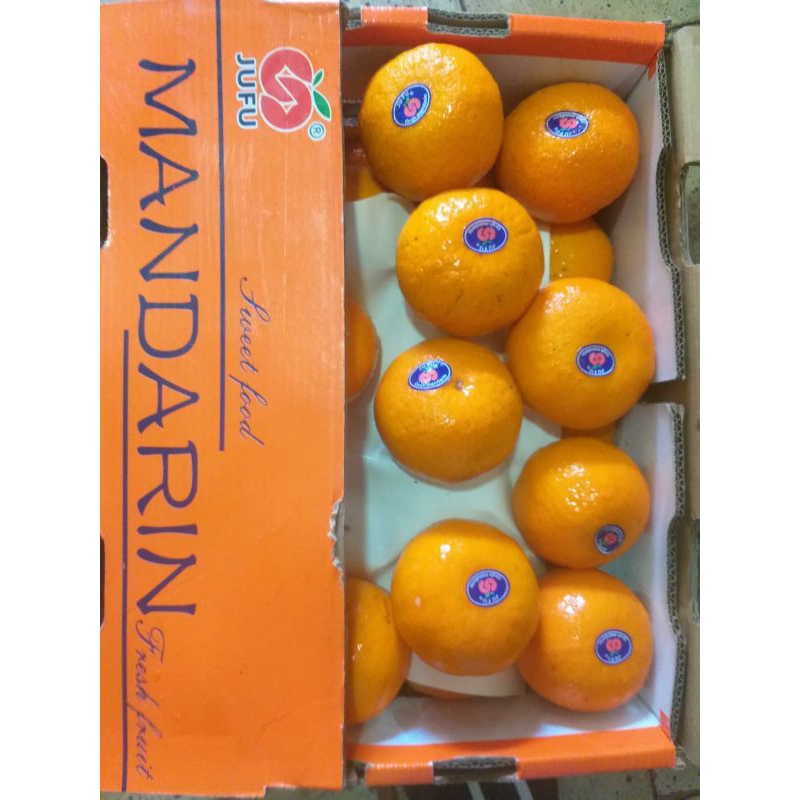 

Jeruk Wogam Mandarin 1 kg Merk random