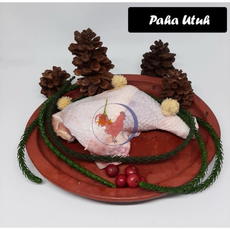 

Paha Utuh Ayam - Paha Pistol - Fresh/Frozen