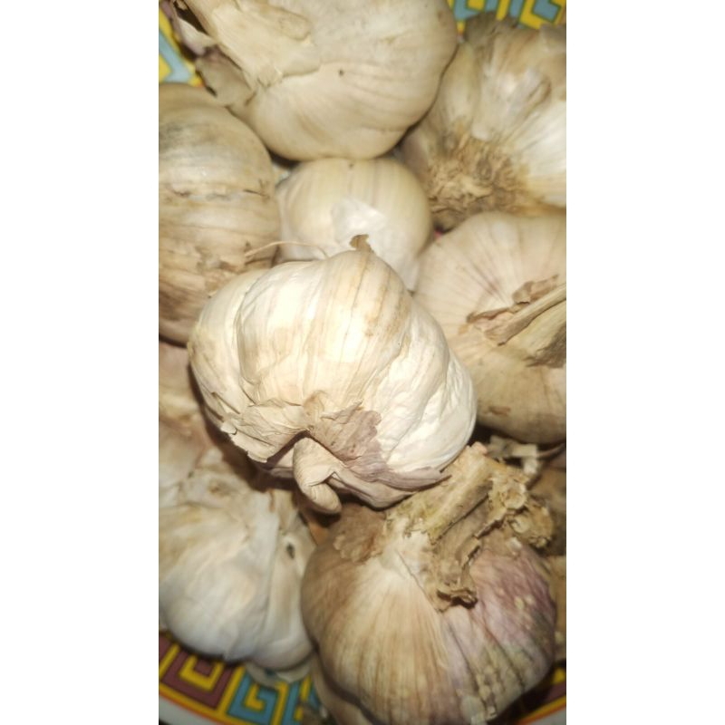 

Bawang Putih Baci/Honan 1Kg